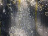 image of grave number 829534